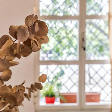 Azonaicas, Pleno Centro De *