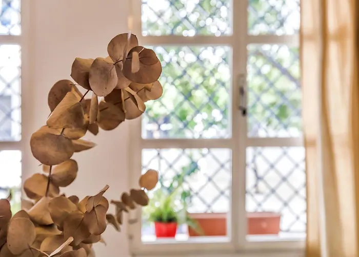 Azonaicas, Pleno Centro De *